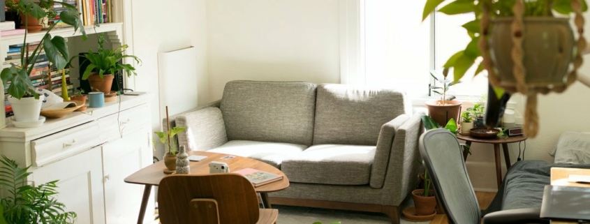 Canapé Studio